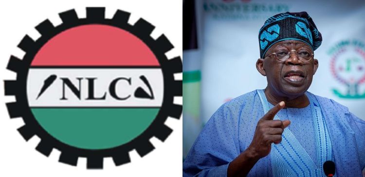 Nigeria Labour cries out after Federal, State and Local govt share N10.45 trillion as living conditions worsen