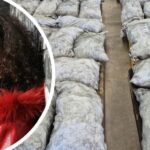 British Actress Emaa Hussen arrested, faces life sentence for importing meth worth $300M from Ghana