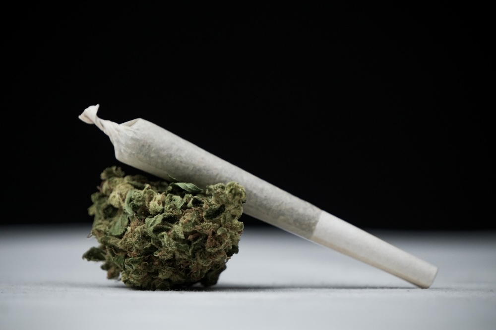 Eight companies apply to cultivate cannabis in Ghana